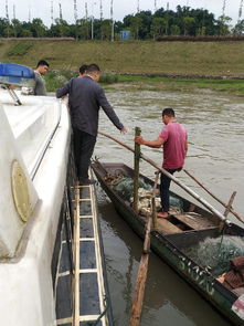 南溪區(qū)開展國慶節(jié)前漁船安全生產專項檢查，確保畜牧漁業(yè)飼料銷售與漁業(yè)生產安全