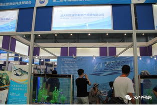 近500家水產產業(yè)鏈企業(yè)齊聚合肥漁博會，現場亮點紛呈，行業(yè)盛事引領產業(yè)新方向
