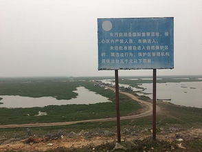 洞庭湖污染治理面臨嚴峻挑戰(zhàn) 中央環(huán)保督查下達緊急整改令