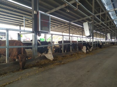 唐河縣 產業(yè)賦能鄉(xiāng)村振興 畜牧漁業(yè)飼料銷售新篇章